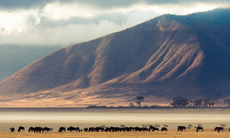 ngorongoro