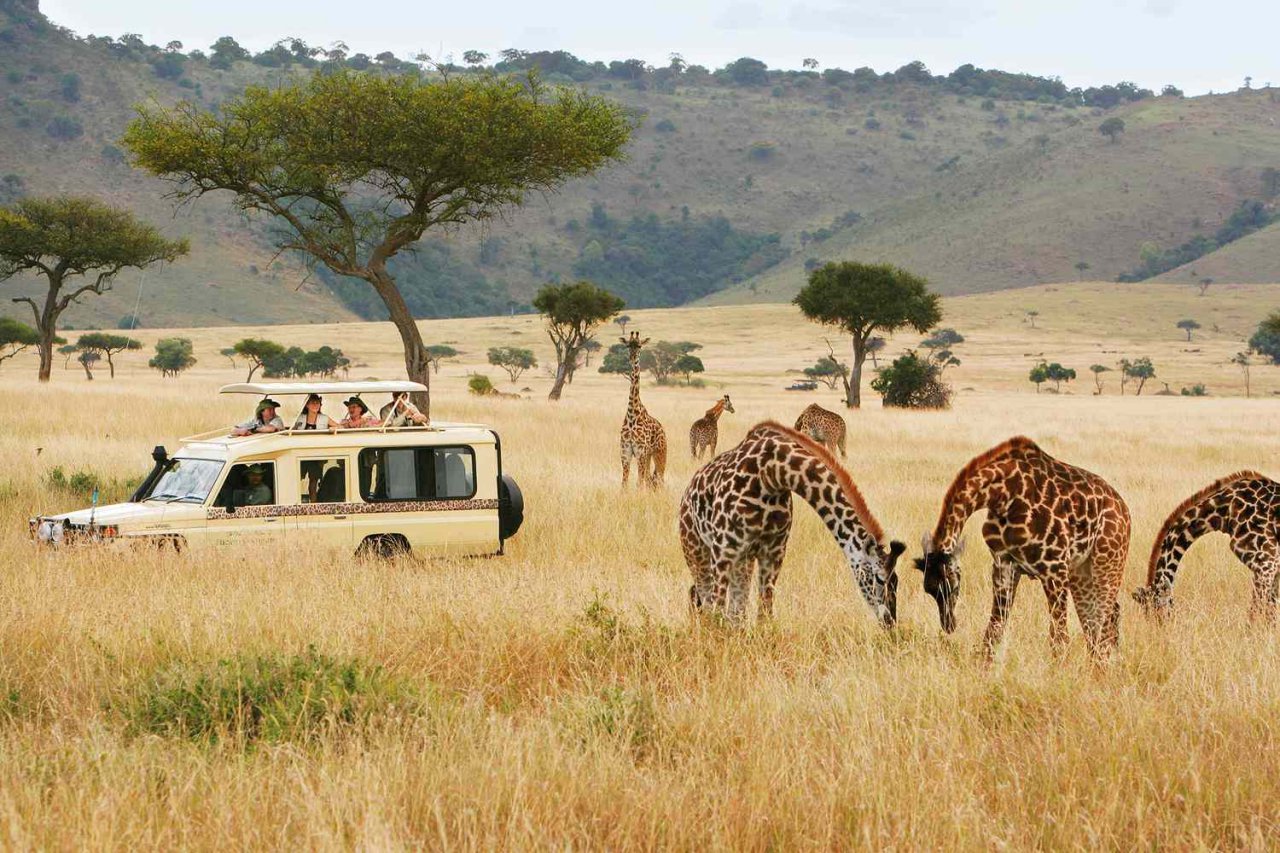 Туры в Кению от туроператора Амиго-С