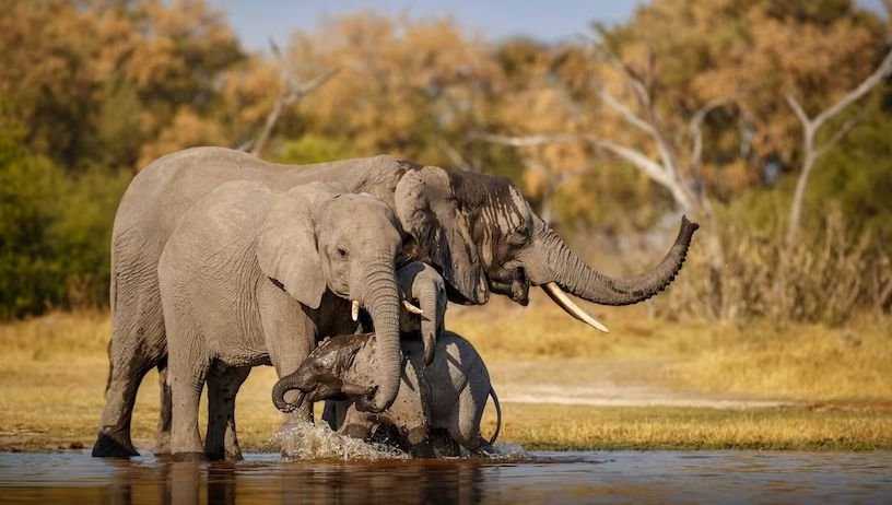 afrika_4