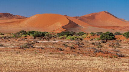 afrika_7